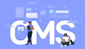 What is a Content Management System (CMS)?