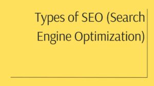 Explore Types of SEO