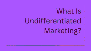 Undifferentiated marketing