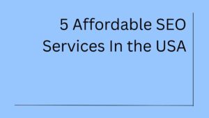 Affordable SEO Services For Businesses In the USA