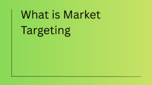 What is Market Targeting Explanation and Examples